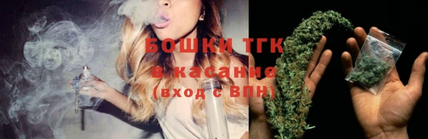 PSILOCYBIN Армянск