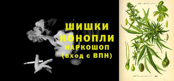 PSILOCYBIN Армянск
