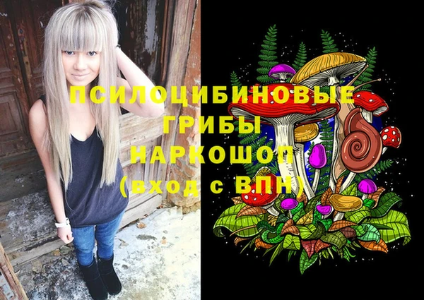 PSILOCYBIN Армянск
