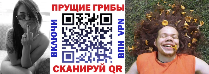 Псилоцибиновые грибы мицелий Купить Кологрив